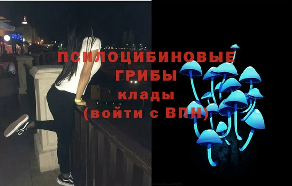 a pvp Гусев